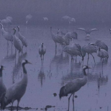 Gite De L'Etang Belval-en-Argonne 外观 照片