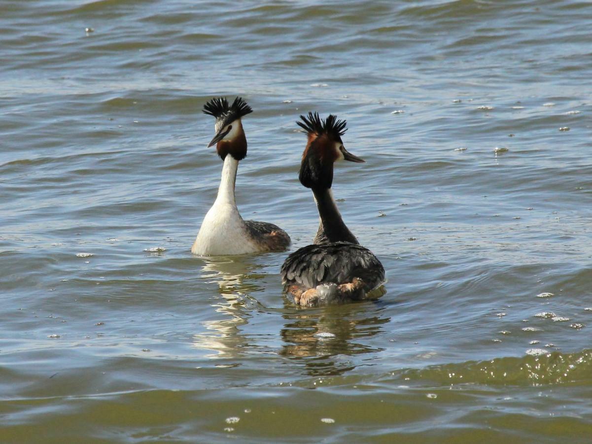 Gite De L'Etang Belval-en-Argonne 外观 照片